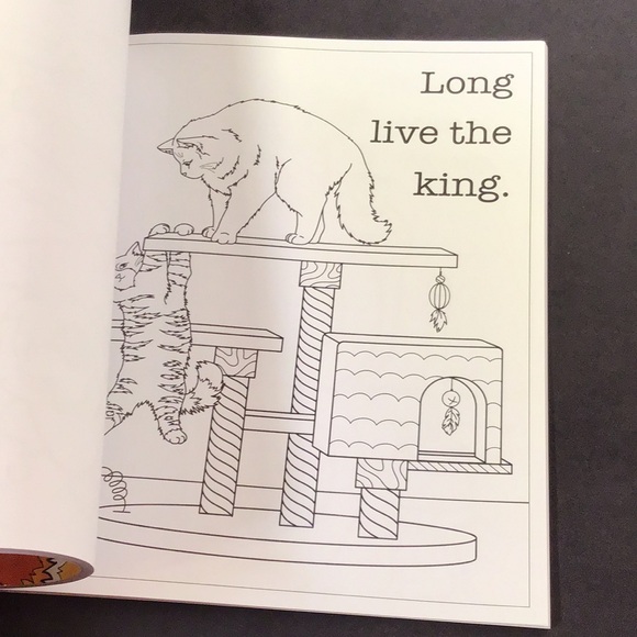 Cats are AHoles adult coloring book for all cat owners and cat lovers Funny! - Picture 5 of 7